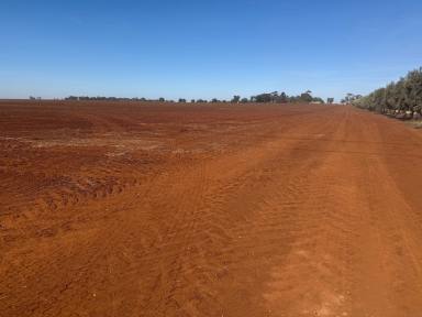 Viticulture For Sale - VIC - Nanneella - 3561 - 308 Acres (125 Ha) - Prime Cambrian Soils (Image 2)