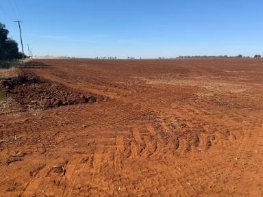 Viticulture For Sale - VIC - Nanneella - 3561 - 308 Acres (125 Ha) - Prime Cambrian Soils  (Image 2)