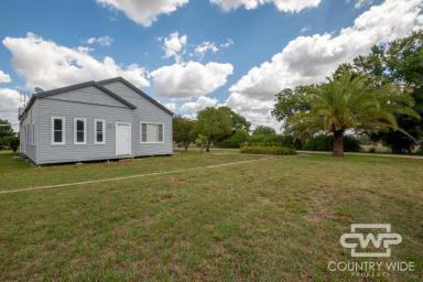 Mixed Farming For Sale - NSW - Nullamanna - 2360 - Quality Grazing Land with Cultivation Options & Fully Renovated 4 Bedroom Home  (Image 2)