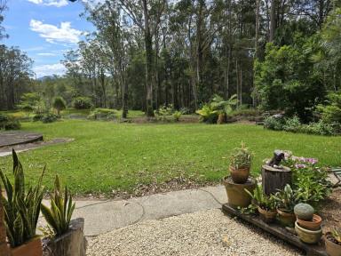 House For Sale - NSW - Bonville - 2450 - Two Homes, One Incredible Forest Retreat – A Unique Opportunity.  (Image 2)