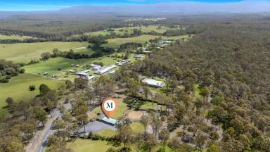 Lifestyle For Sale - NSW - Nowra Hill - 2540 - Country Charm & Modern Convenience  (Image 2)