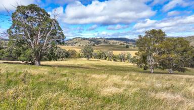 Mixed Farming Auction - NSW - Weabonga - 2340 - PRODUCTIVE LIFESTYLE ESCAPE  (Image 2)