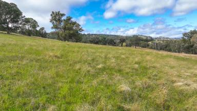 Mixed Farming For Sale - NSW - Weabonga - 2340 - PRODUCTIVE LIFESTYLE ESCAPE  (Image 2)
