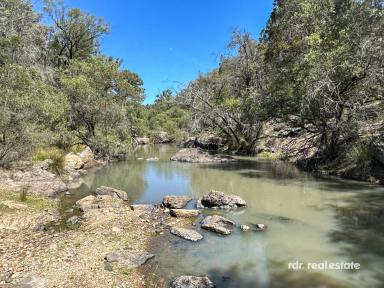 Mixed Farming For Sale - NSW - Ashford - 2361 - STUNNING VIEWS & GREAT POSSIBILITIES  (Image 2)