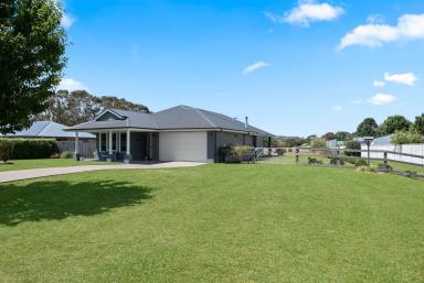 House For Sale - NSW - Crookwell - 2583 - Crookwell's Luxe Listing  (Image 2)