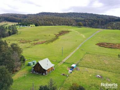 Acreage/Semi-rural For Sale - TAS - Glengarry - 7275 - Home on the Creek with Acreage  (Image 2)