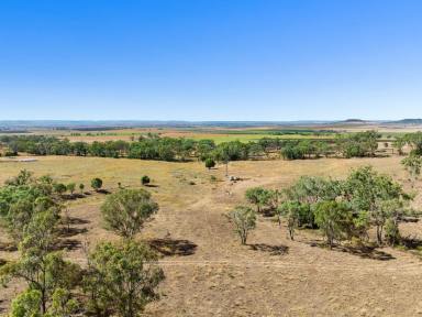 Lifestyle For Sale - QLD - Nobby - 4360 - Rare 80 Acres - Offered for the first time in 54 Years!  (Image 2)