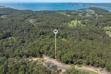 Residential Block For Sale - NSW - Long Beach - 2536 - A Rare Coastal Opportunity – 42 Acres in Long Beach (Image 2)
