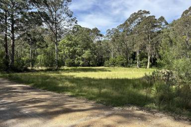 Residential Block For Sale - NSW - Long Beach - 2536 - A Rare Coastal Opportunity – 42 Acres in Long Beach  (Image 2)