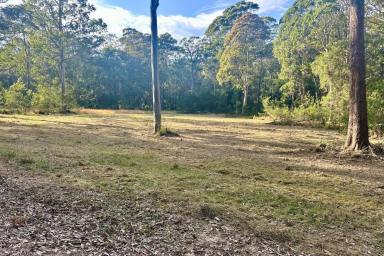 Residential Block For Sale - NSW - Long Beach - 2536 - Your Own Private Piece of the South Coast - 42 Acres  (Image 2)
