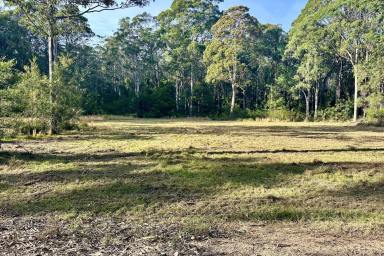 Residential Block For Sale - NSW - Long Beach - 2536 - Your Own Private Piece of the South Coast - 42 Acres  (Image 2)