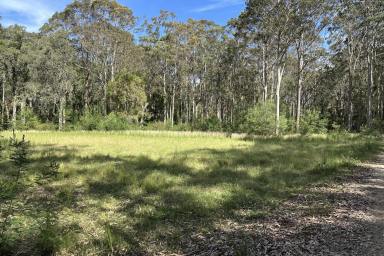 Residential Block For Sale - NSW - Long Beach - 2536 - A Rare Coastal Opportunity – 42 Acres in Long Beach  (Image 2)