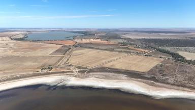 Cropping For Sale - VIC - Mystic Park - 3579 - Ready, Set, Sow !  (Image 2)