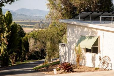 Hotel/Leisure For Sale - QLD - Mount Archer - 4514 - FREEHOLD ACCOMMODATION BUSINESS | $213,000 EBITDA | 2025  (Image 2)