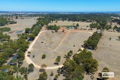 Acreage/Semi-rural For Sale - VIC - Shelbourne - 3515 - WELL SET UP HORSE PROPERTY ON 20 ACRES WITH 800M TROTTING / JOG TRACK  (Image 2)