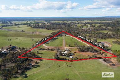Acreage/Semi-rural For Sale - VIC - Shelbourne - 3515 - WELL SET UP HORSE PROPERTY ON 20 ACRES WITH 800M TROTTING / JOG TRACK  (Image 2)