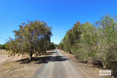 Acreage/Semi-rural For Sale - VIC - Shelbourne - 3515 - WELL SET UP HORSE PROPERTY ON 20 ACRES WITH 800M TROTTING / JOG TRACK  (Image 2)