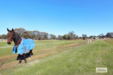 Acreage/Semi-rural For Sale - VIC - Shelbourne - 3515 - WELL SET UP HORSE PROPERTY ON 20 ACRES WITH 800M TROTTING / JOG TRACK  (Image 2)