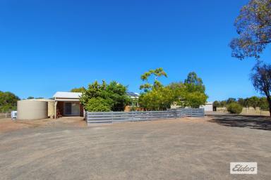 Acreage/Semi-rural For Sale - VIC - Shelbourne - 3515 - WELL SET UP HORSE PROPERTY ON 20 ACRES WITH 800M TROTTING / JOG TRACK  (Image 2)