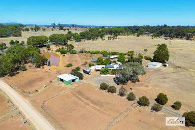 Acreage/Semi-rural For Sale - VIC - Shelbourne - 3515 - WELL SET UP HORSE PROPERTY ON 20 ACRES WITH 800M TROTTING / JOG TRACK  (Image 2)