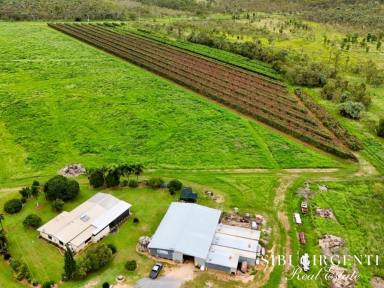 Lifestyle For Sale - QLD - Dimbulah - 4872 - IDEAL BLEND OF LIFESTYLE LIVING AND FARMING POTENTIAL  (Image 2)