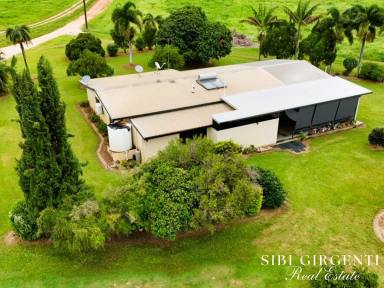 Lifestyle For Sale - QLD - Dimbulah - 4872 - IDEAL BLEND OF LIFESTYLE LIVING AND FARMING POTENTIAL  (Image 2)