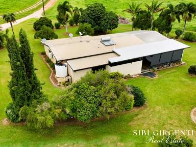 Lifestyle For Sale - QLD - Dimbulah - 4872 - NOW REDUCED!! IDEAL BLEND OF LIFESTYLE LIVING AND FARMING POTENTIAL  (Image 2)