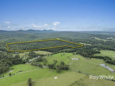 Acreage/Semi-rural For Sale - NSW - Girvan - 2425 - Build Your Country Retreat  (Image 2)