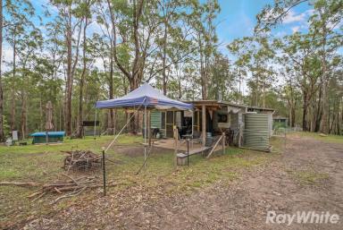 Acreage/Semi-rural For Sale - NSW - Girvan - 2425 - Build Your Country Retreat  (Image 2)