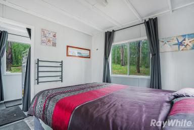Acreage/Semi-rural For Sale - NSW - Girvan - 2425 - Build Your Country Retreat  (Image 2)