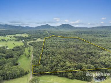 Acreage/Semi-rural For Sale - NSW - Girvan - 2425 - Build Your Country Retreat  (Image 2)