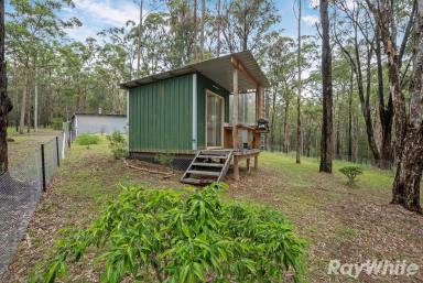 Acreage/Semi-rural For Sale - NSW - Girvan - 2425 - Build Your Country Retreat  (Image 2)