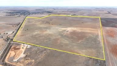 Cropping For Sale - VIC - Birchip - 3483 - Birchip Cropping Land.  (Image 2)