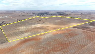 Cropping For Sale - VIC - Birchip - 3483 - Birchip Cropping Land.  (Image 2)