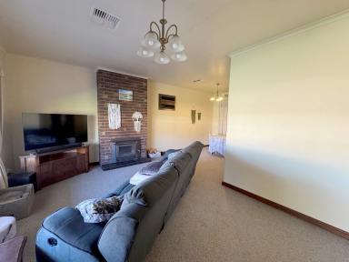 House For Sale - SA - Naracoorte - 5271 - 2 Titles, 1 Price, When Size & Location Matters 1,906m2  (Image 2)