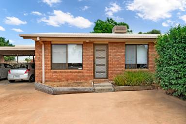 House For Sale - VIC - Merbein - 3505 - Effortless Living & Strong Rental Return  (Image 2)