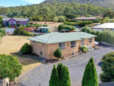 House For Sale - TAS - New Norfolk - 7140 - Spacious Family Living in Beautiful New Norfolk  (Image 2)
