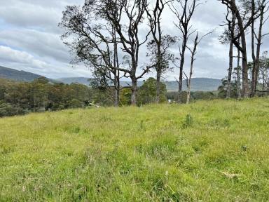 Residential Block For Sale - TAS - Weldborough - 7264 - 15.5 acres of Fresh air, Mountain Views, and Green Pasture. Weldborough.  (Image 2)