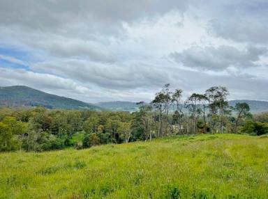 Residential Block For Sale - TAS - Weldborough - 7264 - 15.5 acres of Fresh air, Mountain Views, and Green Pasture. Weldborough.  (Image 2)