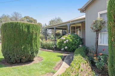 House For Sale - VIC - Derrinallum - 3325 - A Jewel In The Heart Of Derrinallum  (Image 2)