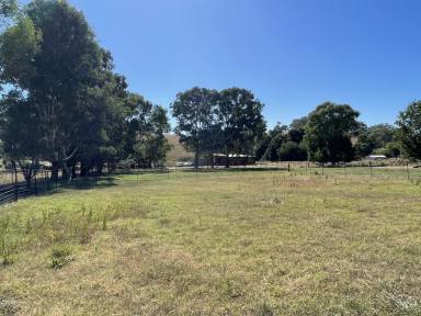 Residential Block For Sale - NSW - Gundagai - 2722 - Build your dream !  (Image 2)