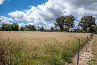 Residential Block For Sale - NSW - Deepwater - 2371 - Land for Sale in Deepwater  (Image 2)