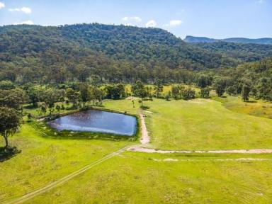 Lifestyle For Sale - NSW - Yarrawa - 2328 - FINAL LAND RELEASE - RURAL RECREATIONAL LOTS IN THE HUNTER VALLEY  (Image 2)