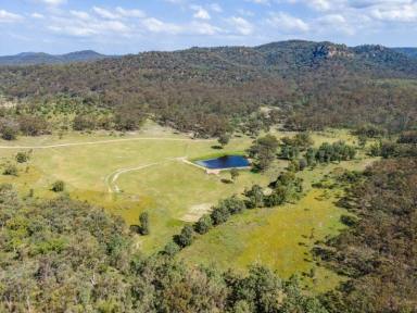 Lifestyle For Sale - NSW - Yarrawa - 2328 - FINAL LAND RELEASE - RURAL RECREATIONAL LOTS IN THE HUNTER VALLEY  (Image 2)