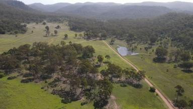 Lifestyle For Sale - NSW - Yarrawa - 2328 - FINAL LAND RELEASE - Reduced by 20%! (Image 2)