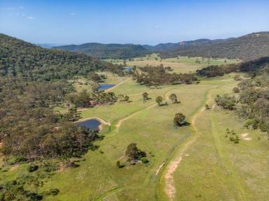 Lifestyle For Sale - NSW - Yarrawa - 2328 - FINAL LAND RELEASE - RURAL RECREATIONAL LOTS IN THE HUNTER VALLEY  (Image 2)