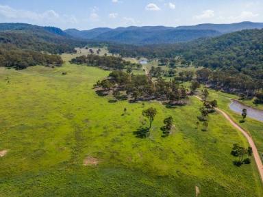 Lifestyle For Sale - NSW - Yarrawa - 2328 - FINAL LAND RELEASE - RURAL RECREATIONAL LOTS IN THE HUNTER VALLEY  (Image 2)