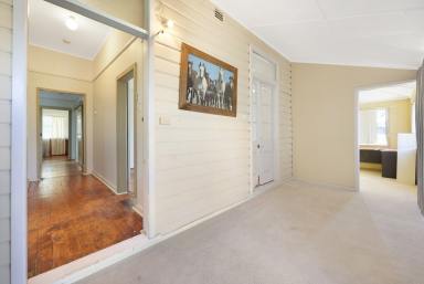 House Auction - NSW - Tamworth - 2340 - AFFORDABLE LYFESTYLE OPPORTUNITY  (Image 2)