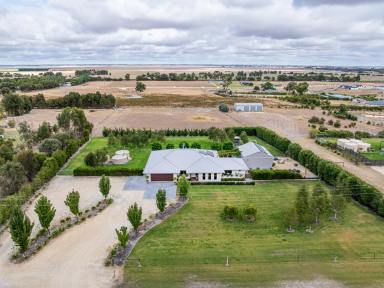 Acreage/Semi-rural For Sale - SA - Naracoorte - 5271 - A rare and enviable lifestyle property  (Image 2)