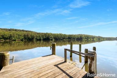 House For Sale - NSW - Longreach - 2540 - Exclusive Riverfront Property with Exceptional Privacy & Potential  (Image 2)